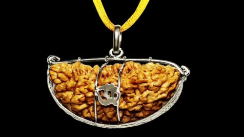 1 Mukhi Rudraksha With Silver Cap Pendant